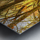 Strangled by Vines Metal print