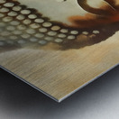 .Buddah Statue Metal print