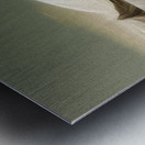 Icebergs Above and Beneath Metal print