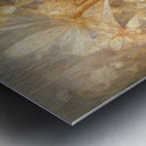 Soft and Translucent Petals Metal print