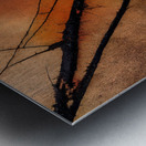 Bare Branches at Sundown Impression metal