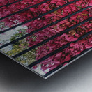 Burning Bush Behind Bars Impression metal