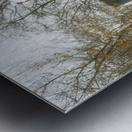 Yellow House Where Leroy Lived Metal print