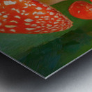 Red Spotted Toadstools Metal print