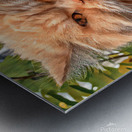 Just Look at that Face Metal print