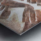 Mountain Range Metal print