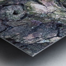 Bark Looks Like a Toad Metal print