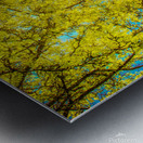 Love that Spring Green  Metal print