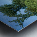 Somebody Seems Happy Impression metal