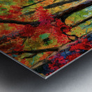 The Autum Colors of Maple Trees Metal print