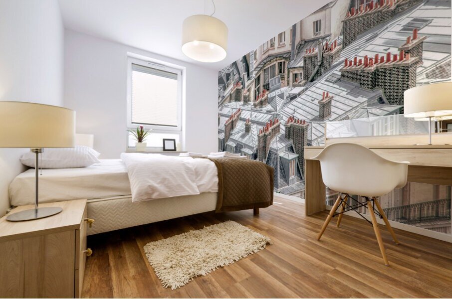 Rooftops in Paris Mural print