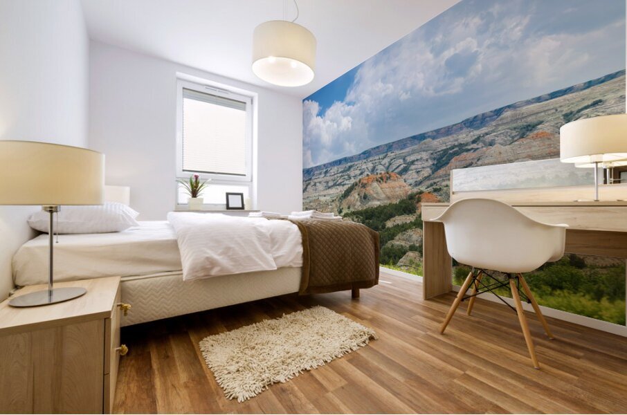 Dakota Badlands Mural print
