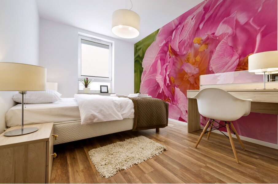 Pink Double Tulip Mural print