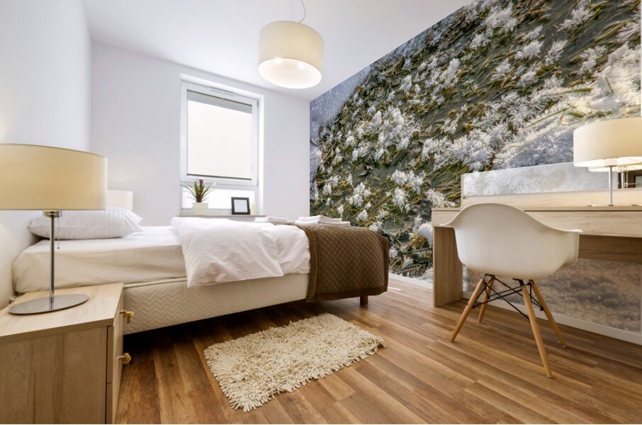 Ice Crystals Mural print