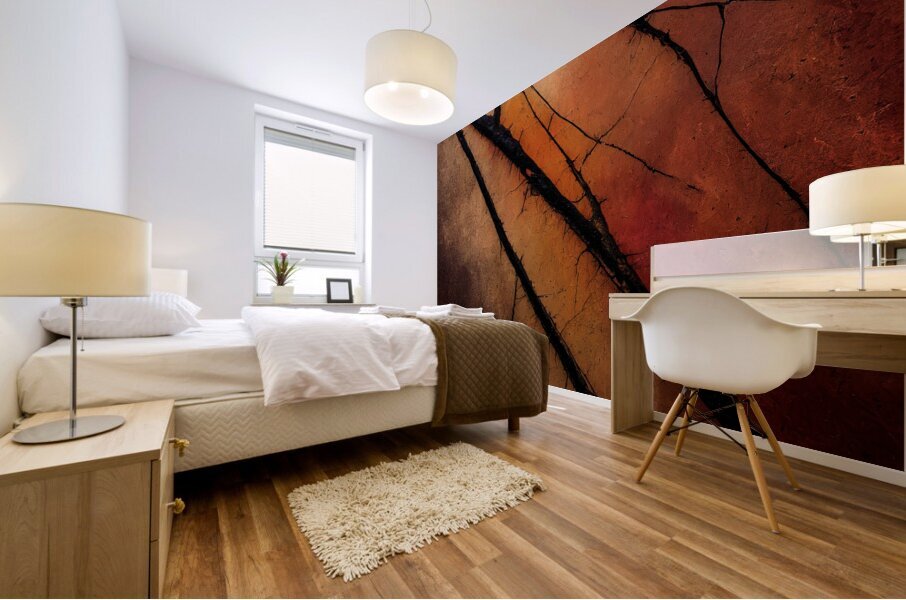 Bare Branches at Sundown Impression murale