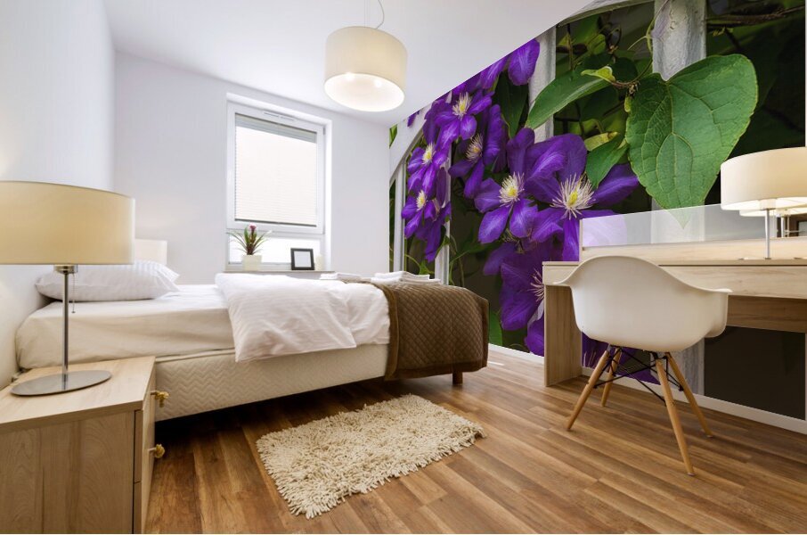 CLIMATIS ON THE TRELLIS Mural print