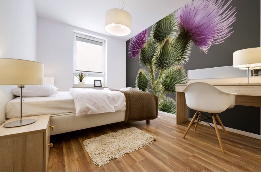 Scottish Thistle Mural print