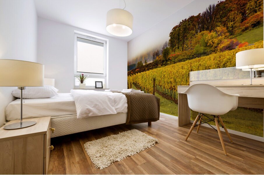 Niagara Vineyard Route Mural print