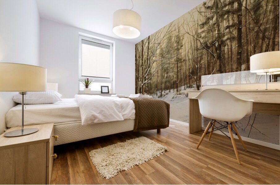 Beautiful Winter Light Mural print