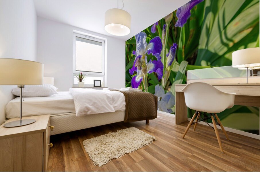 Stuck Up Irises Mural print