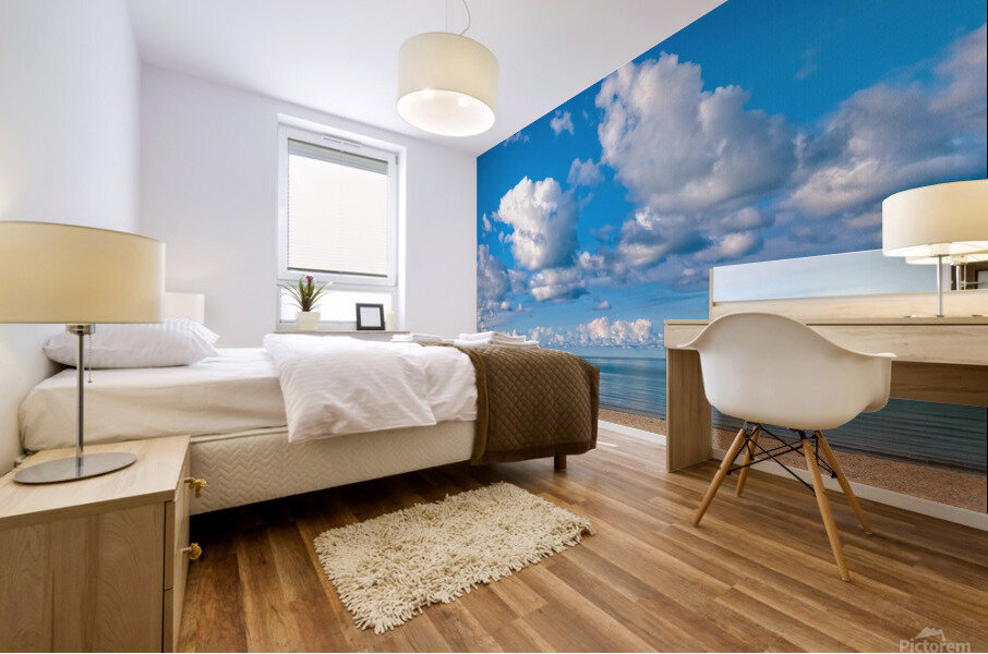 Sandy Beach with Blue Skies Mural print