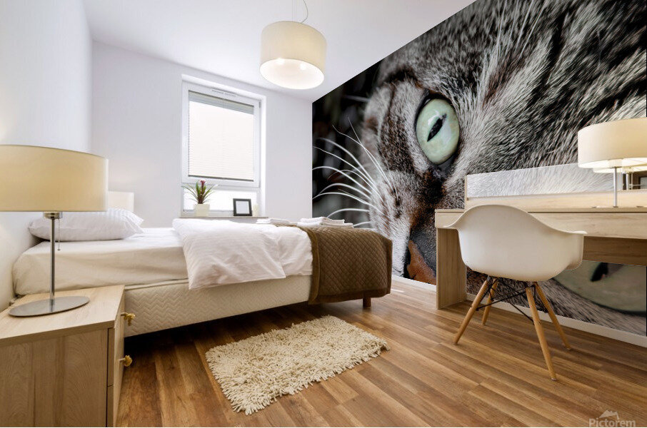 Chatty Cat Following Me Mural print