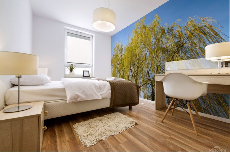 Huge Weeping Willow Mural print