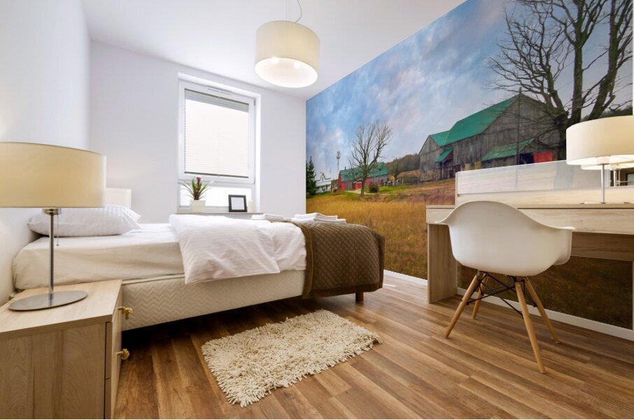 Somewhere in Canada Mural print