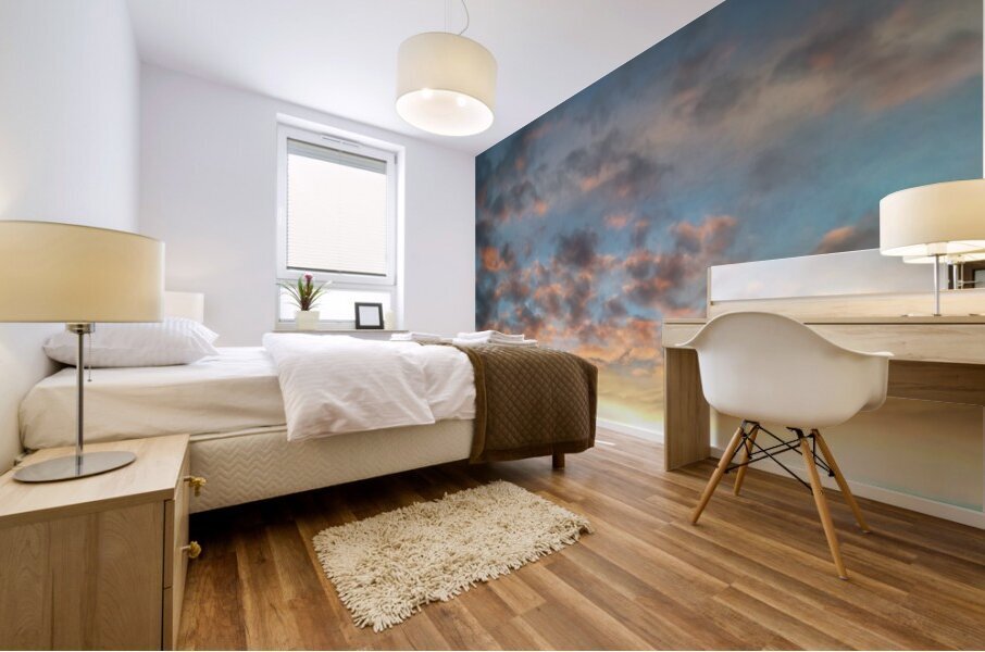 Skies Change Constantly  Mural print
