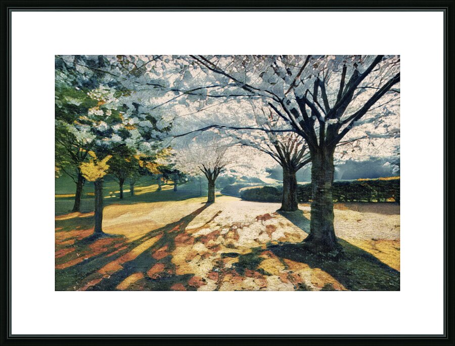 Spring in High Park Toronto Picture Frame print