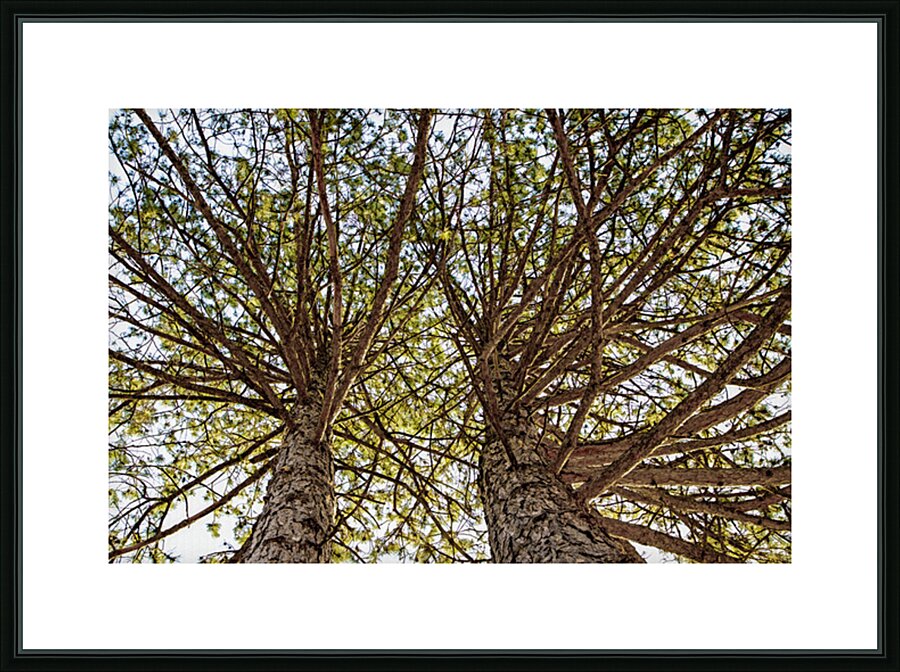 INSEPERABLE Picture Frame print