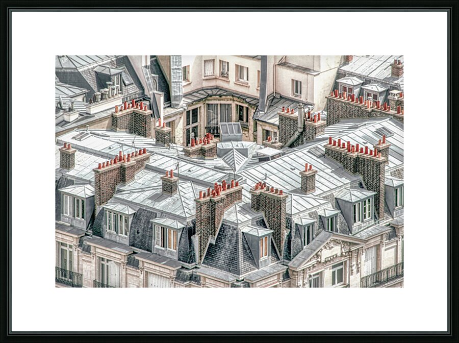 Rooftops in Paris Picture Frame print