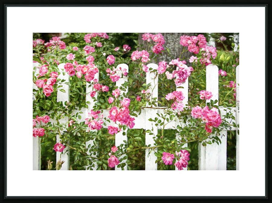 Fancy Fence Picture Frame print