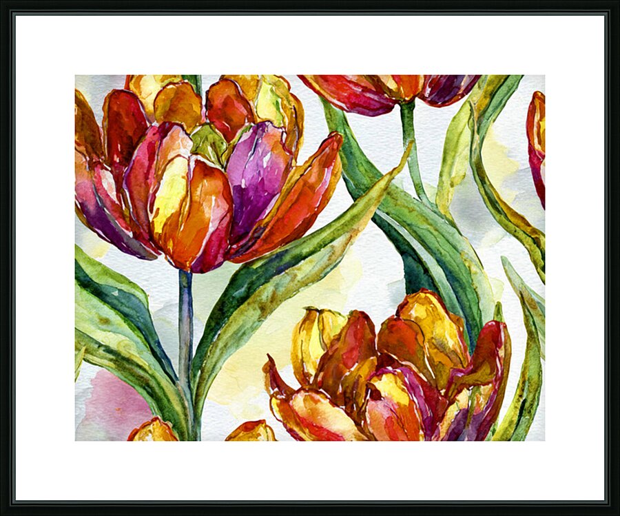 Tulips All Opened Up Picture Frame print