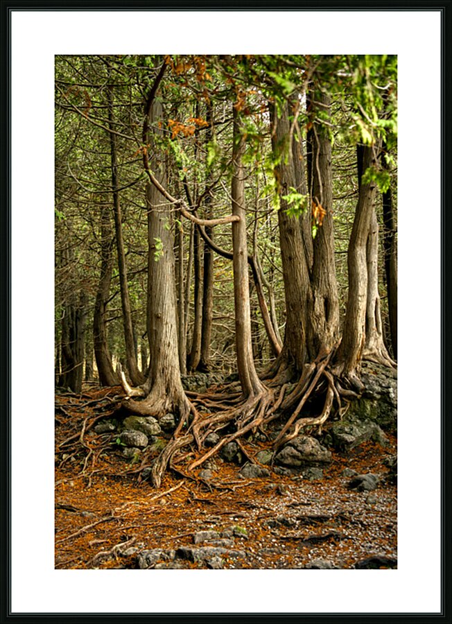 Beaver Valley Trippers Picture Frame print