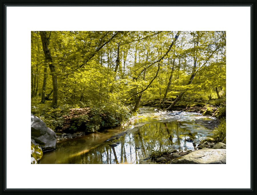 Resting by the Spring Stream Picture Frame print
