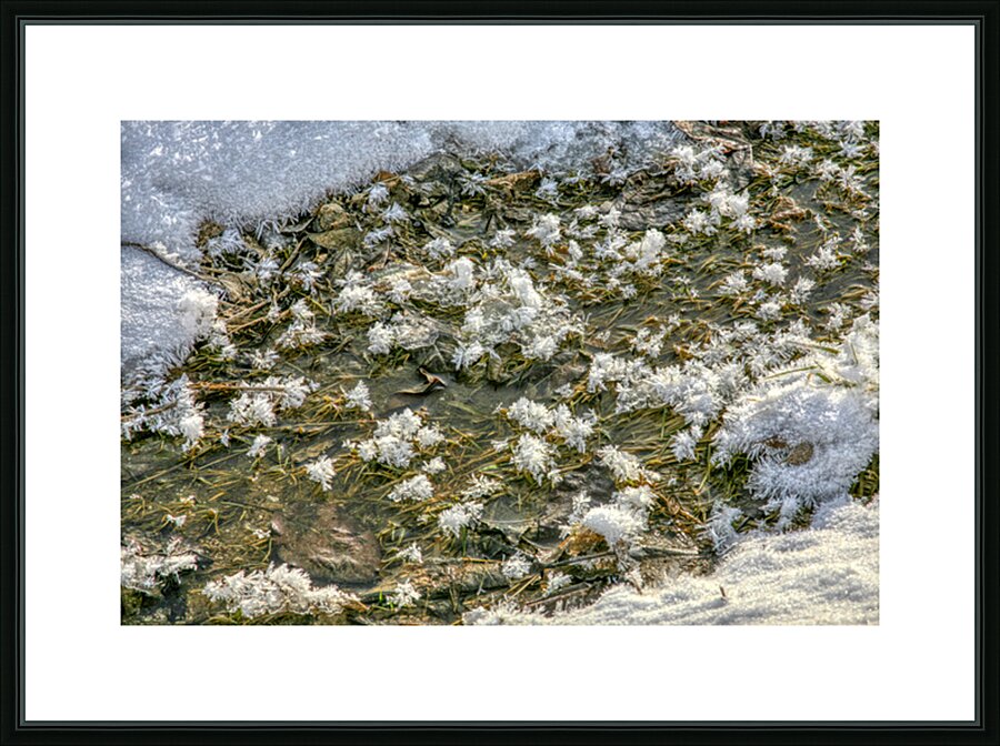 Ice Crystals Picture Frame print
