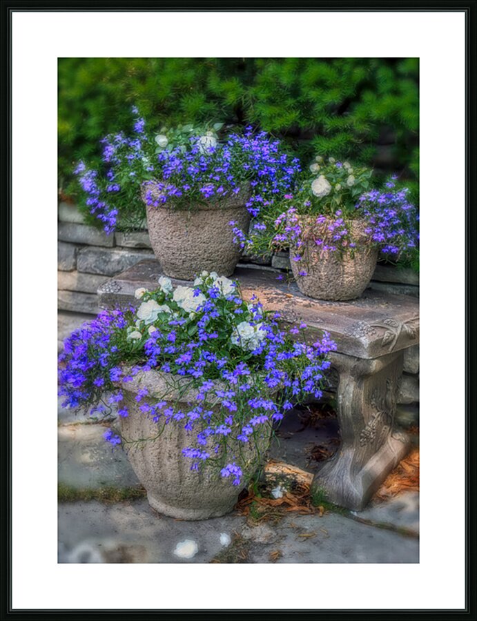 Planters in Blue Picture Frame print