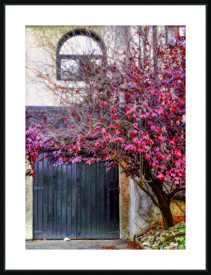 Bush on Fire Picture Frame print