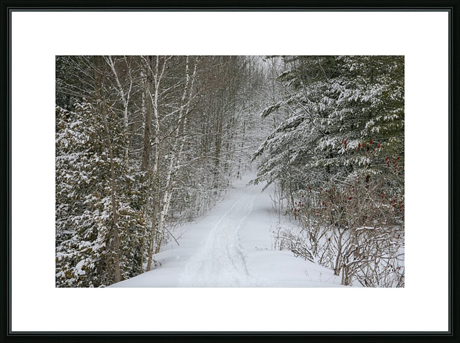 WHERE ARE THE DITCHES Picture Frame print