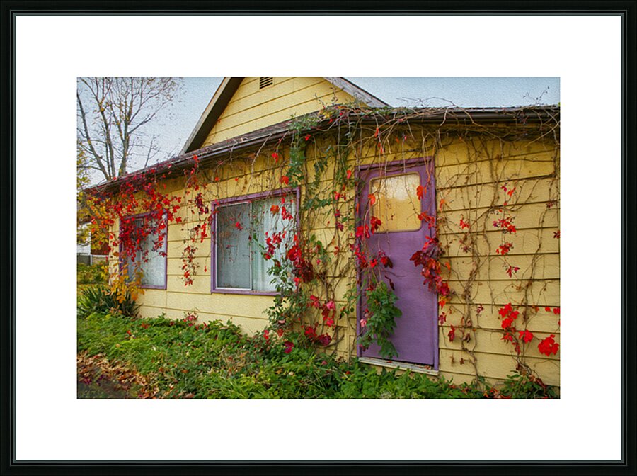 Purple Door Picture Frame print