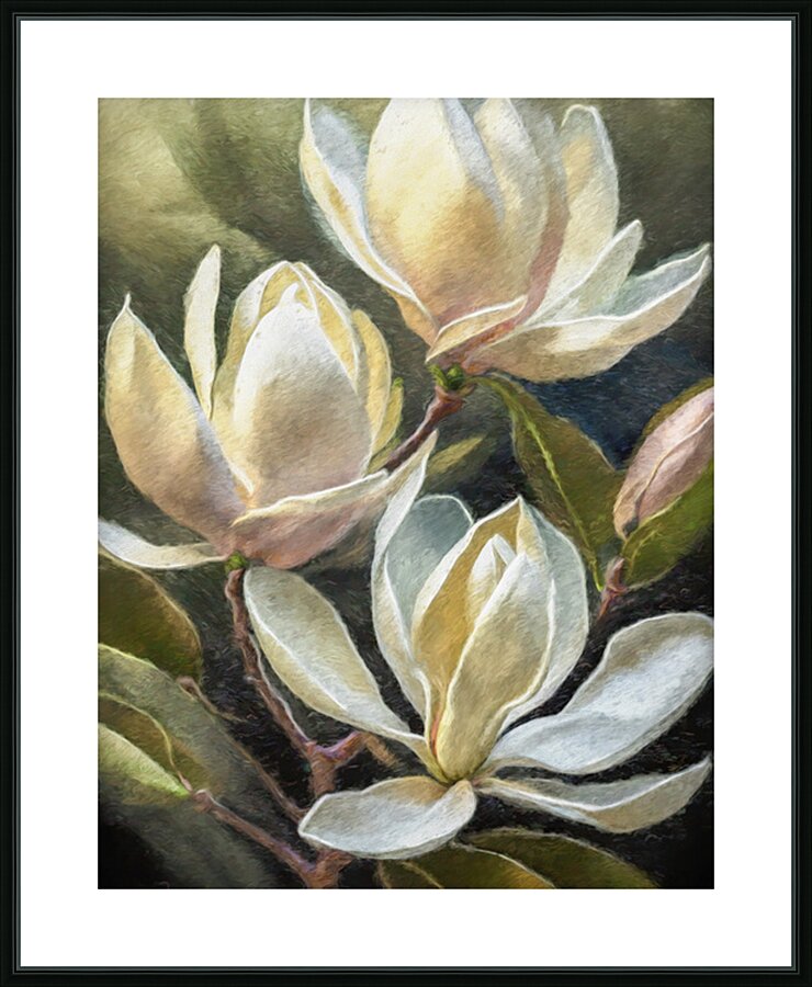 Magnolias Picture Frame print