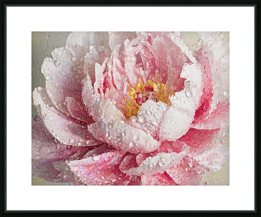 Clinging Raindrops Picture Frame print