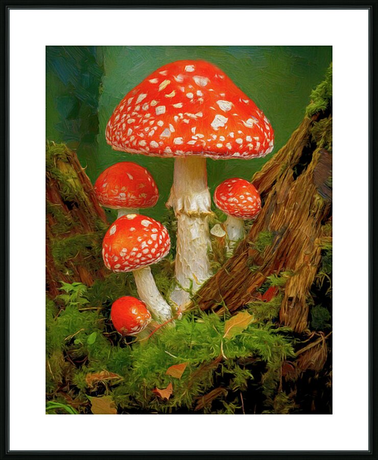 Red Spotted Toadstools Picture Frame print
