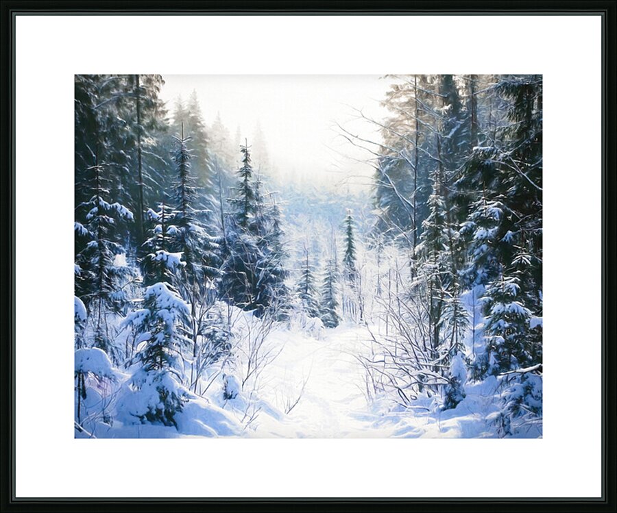 Winter Hiking Trail Picture Frame print