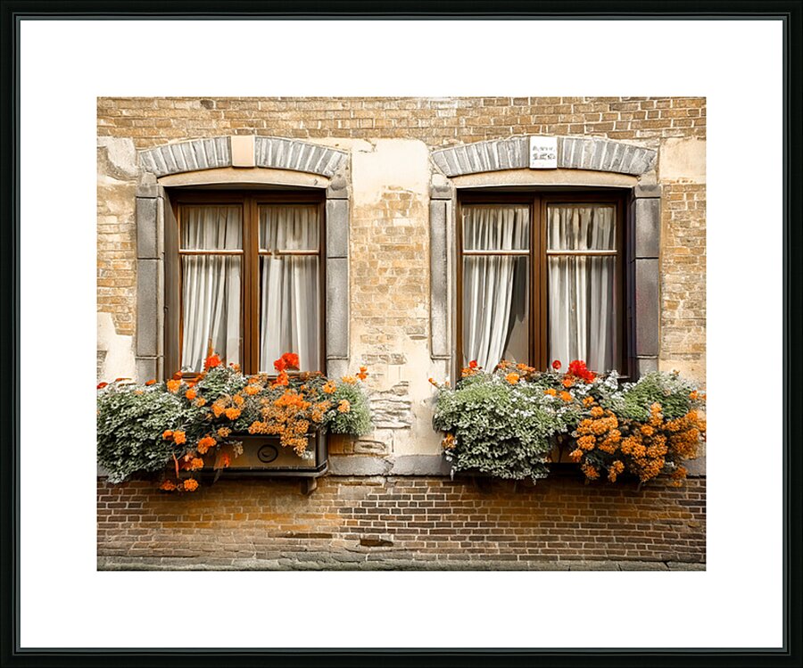 Parisian Windows Picture Frame print