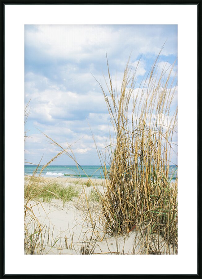 BEACH GRASS  Picture Frame print