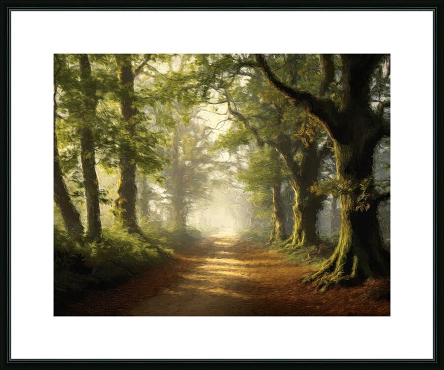 Small Trail Through Big Trees Picture Frame print