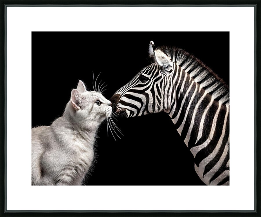 Kissy Kissy Picture Frame print