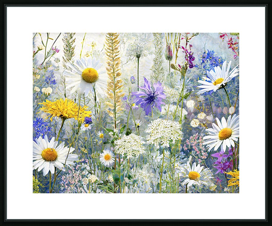 Meadow in Bloom  Picture Frame print